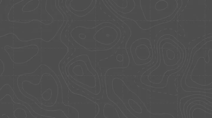 topografische Linien - grau